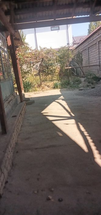 Рахметовасветлана