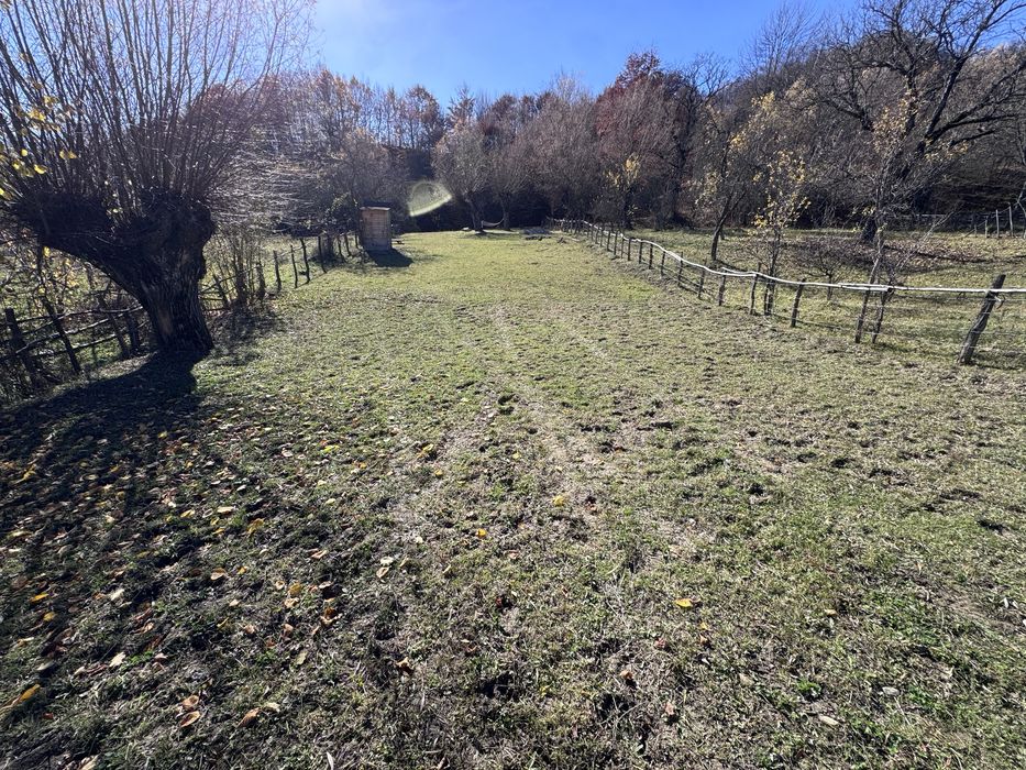 Teren intravilan Bradulet (Ungureni) , imprejmuit, langa padure