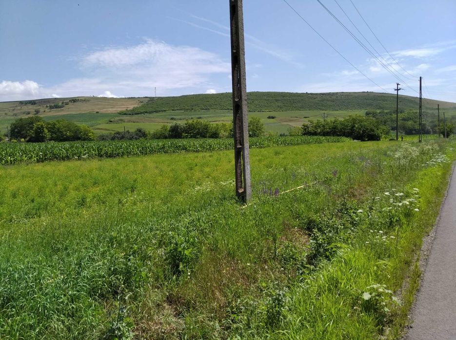 6.600 MP Intravilan, la marginea soselei asfaltate DJ 151 A, Mures