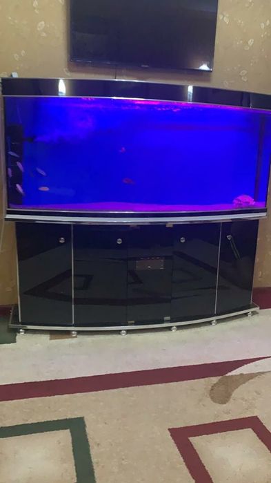 Аквариум умумий обём 450 литр енги ишлатилмадан zakazgayam qiberamiz