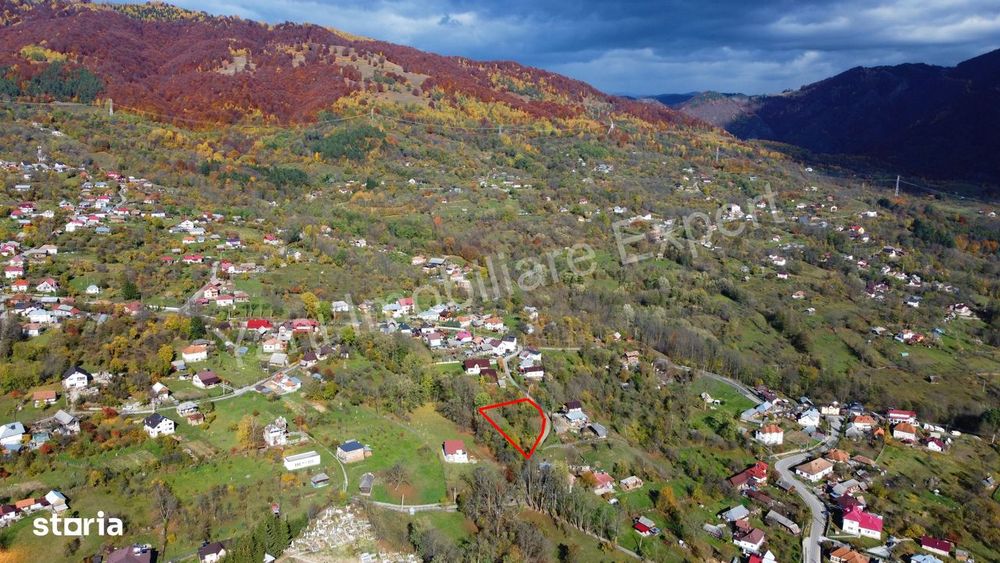 Teren de vânzare în comuna Arefu, județ Argeș.