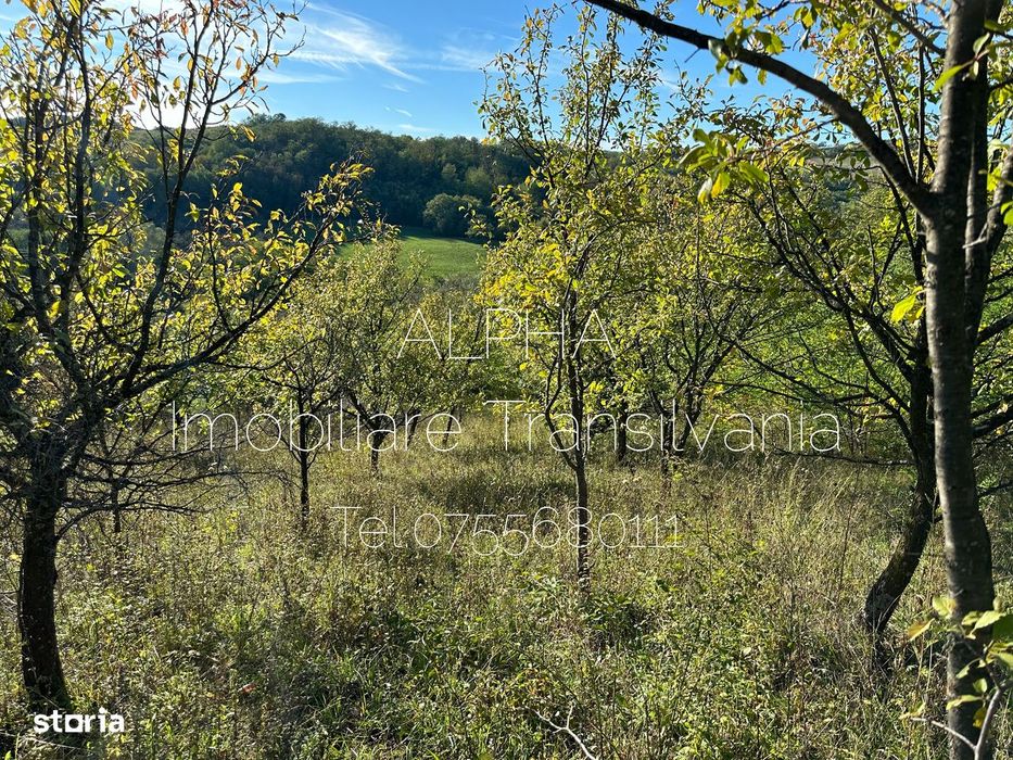 Teren intravilan în Fetindia