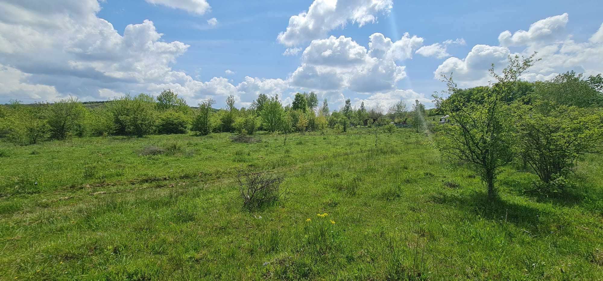Teren 15 ari cu verdeata si panorama superba Str Paltinului Bistrita