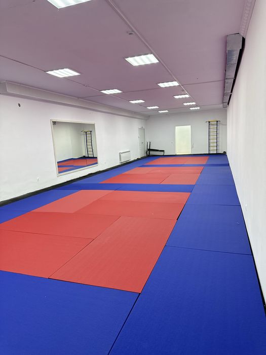 Татами маты даянг в отличном состоянии