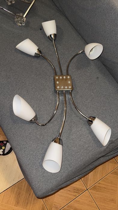 Употребяван полилей