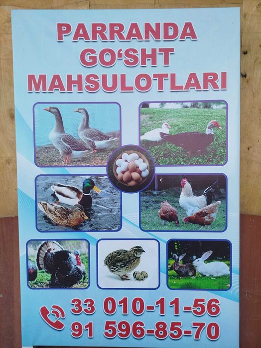 Parranda goʻsht mahsulotlari