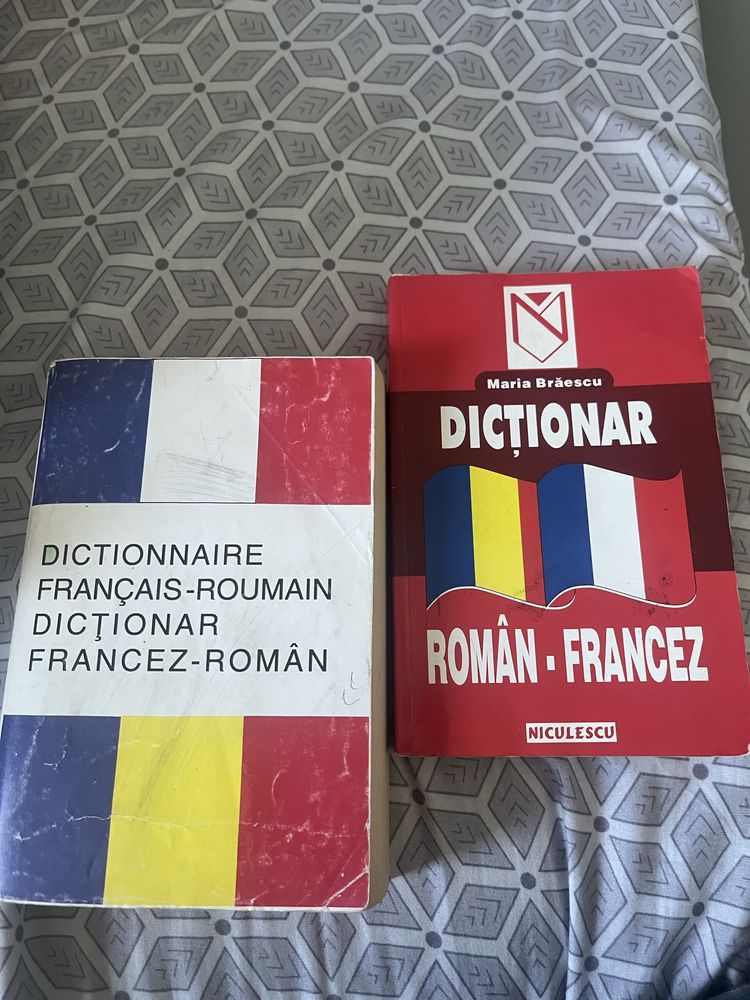 Dictionar roman francez