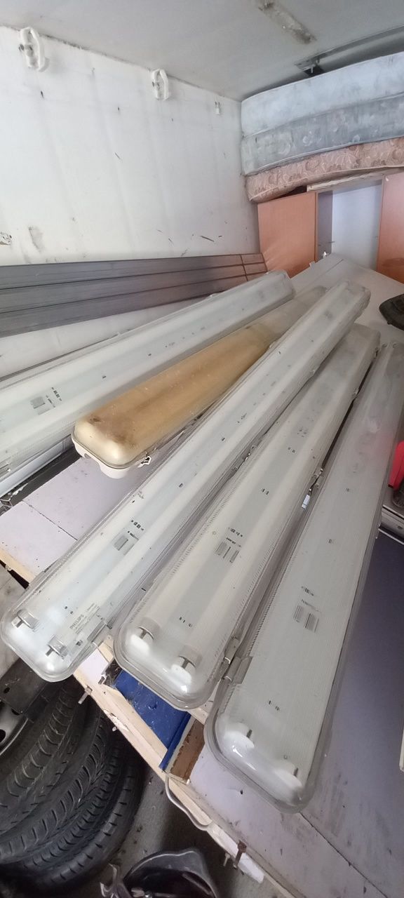 Corpuri neon becuri