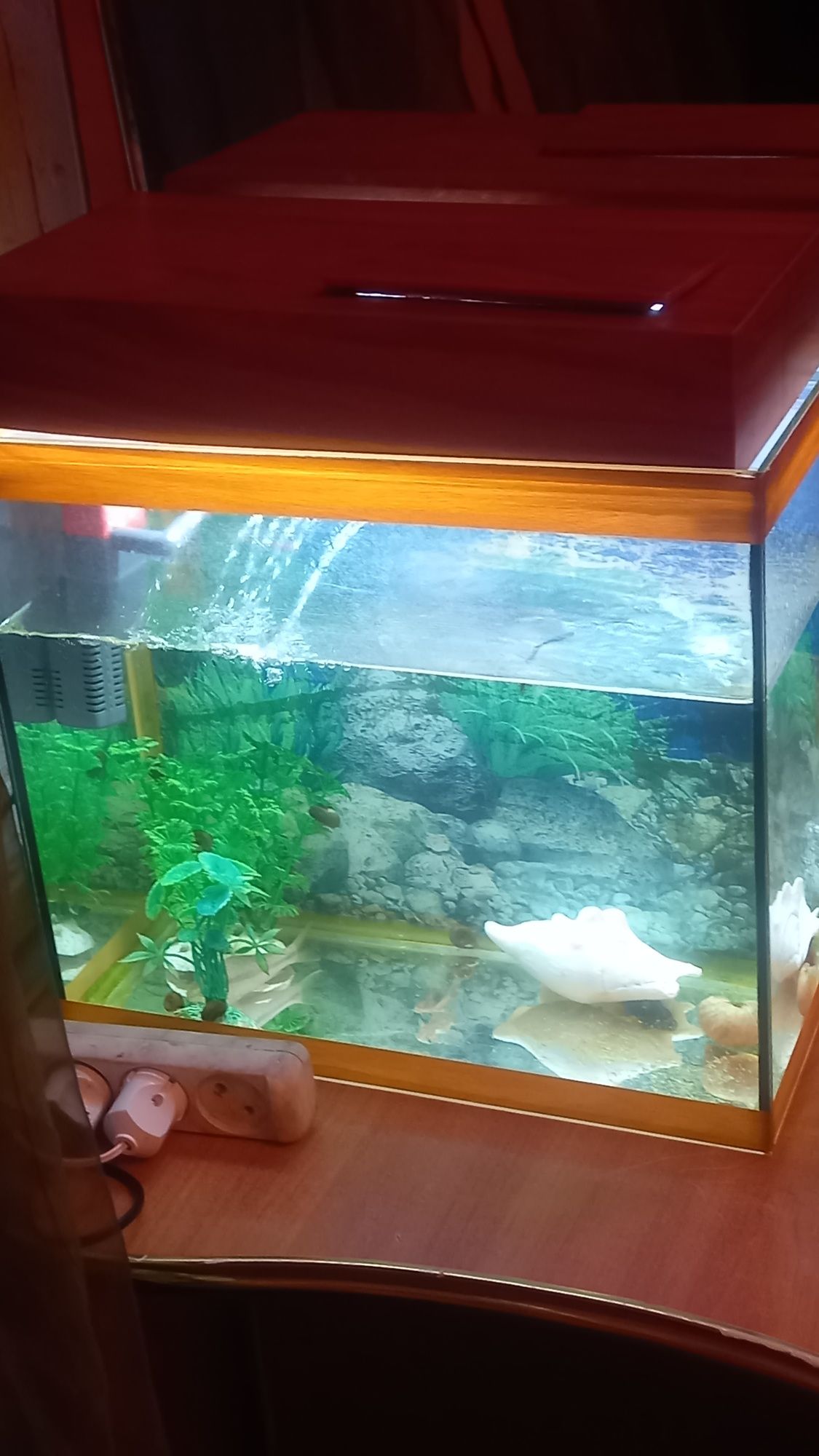 Продам аквариум на 100 с рыбками