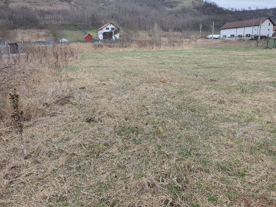 7,8 ari teren intravilan in Livezeni cu Pug aprobat