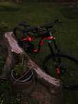 Giant Reign 1.5 LTD Black/Red M