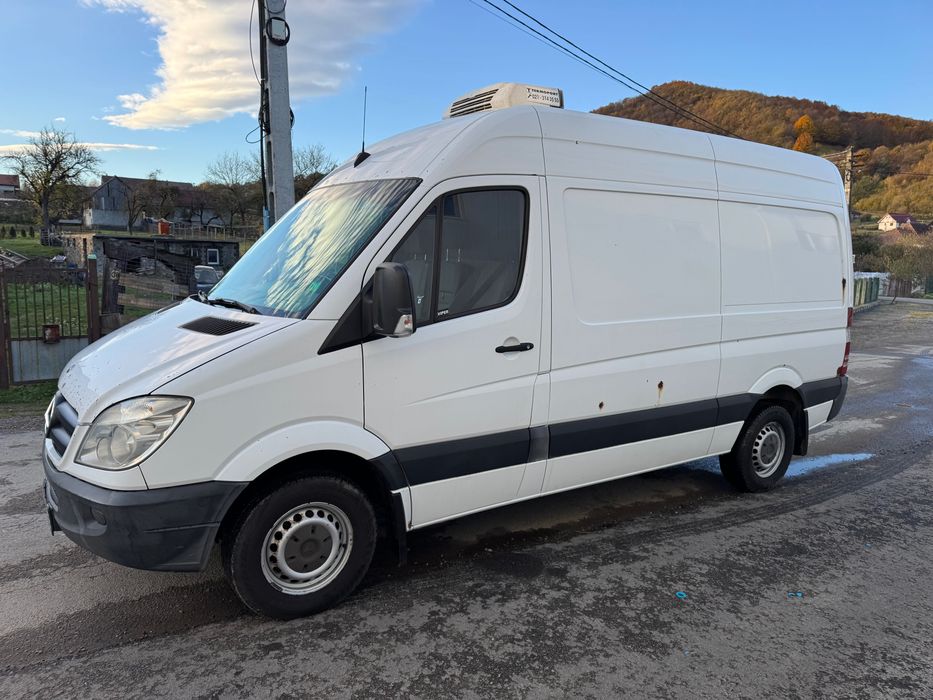 Mercedes sprinter 313 frigorific
