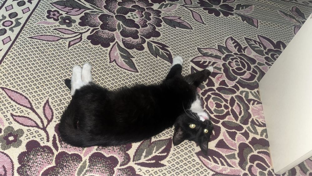 Жаксы карайтын адамга берем