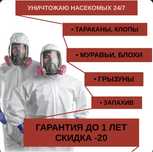 дезинфексия дизинфексия без запах таракан и клапа