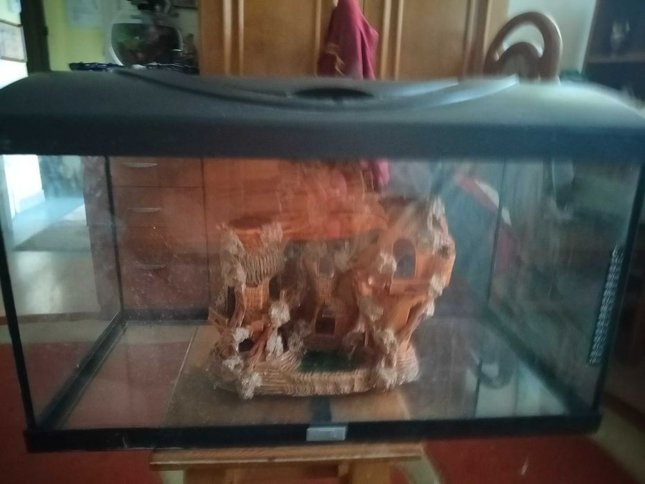 Vând acvariu,bol,filtru apă