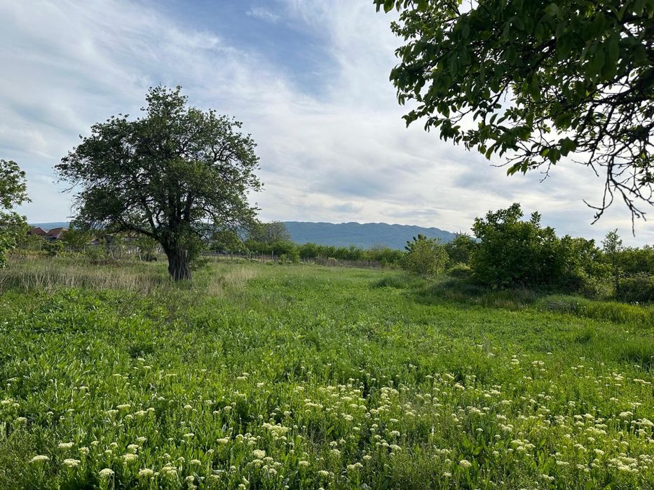 Teren intravilan de vânzare