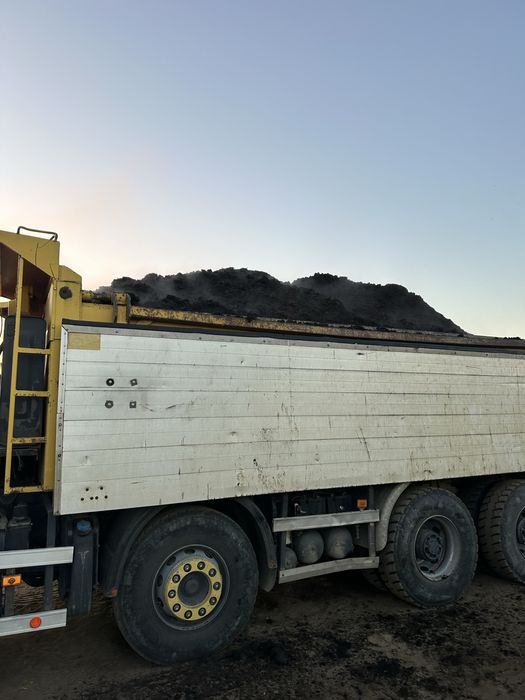 Mranita balegar putred ingrasamant