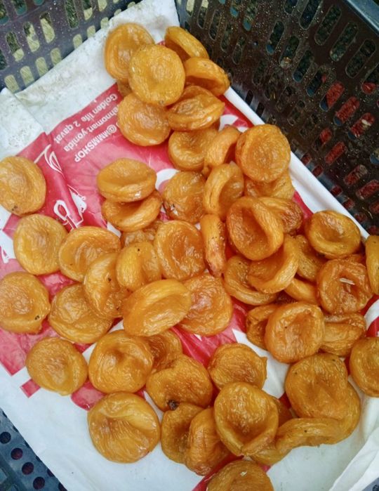 Табиий витамин уриклар