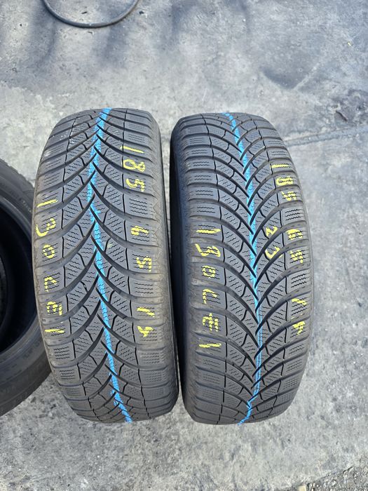 185 65 15 semperit m+s dot 2023