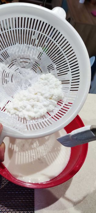 Кефирена гъба (тибетска)