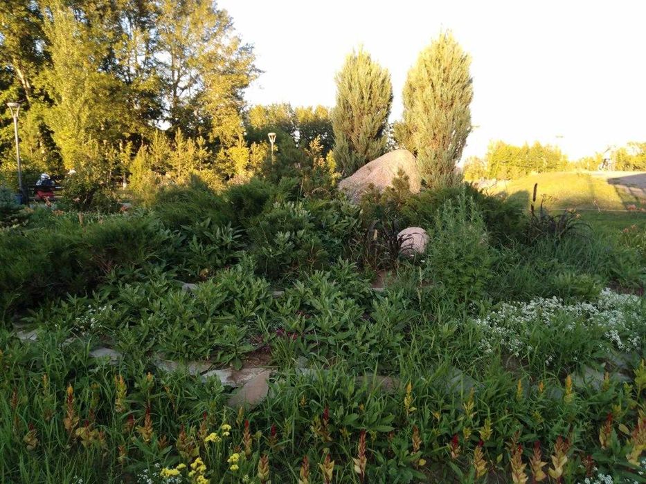 Дача  г.Шучинск (Боровое)