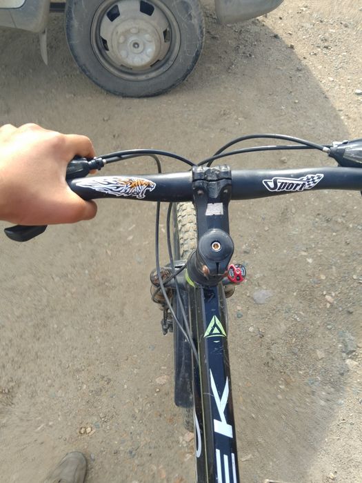 Пирадаю велик сирачна