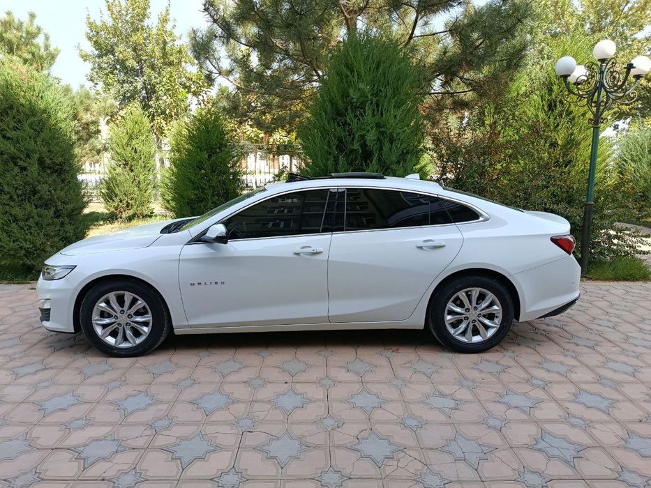 Malibu 2 PREMIER 2021! Kraska tozza 100%