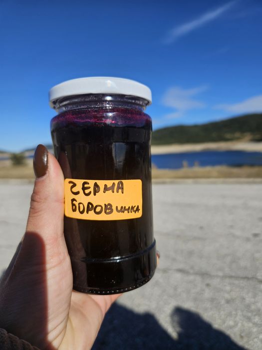 Домашни направени сладка от всички видове горски плодове