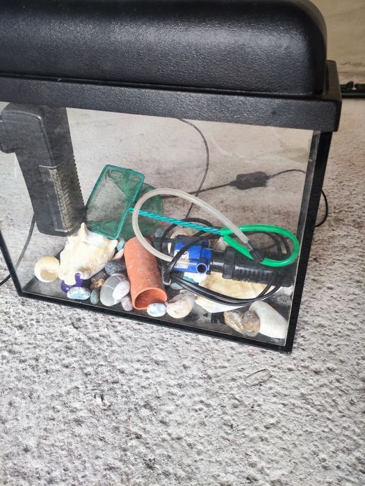 аквариум  15л со всем содержимым на фото