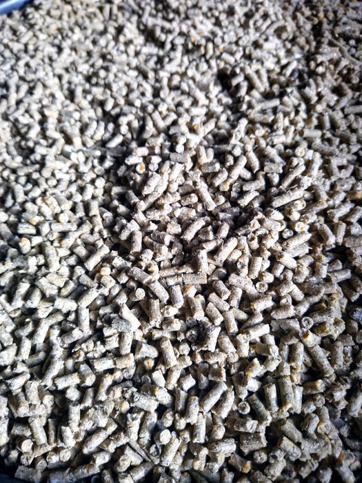 Cereali granulate pentru animale