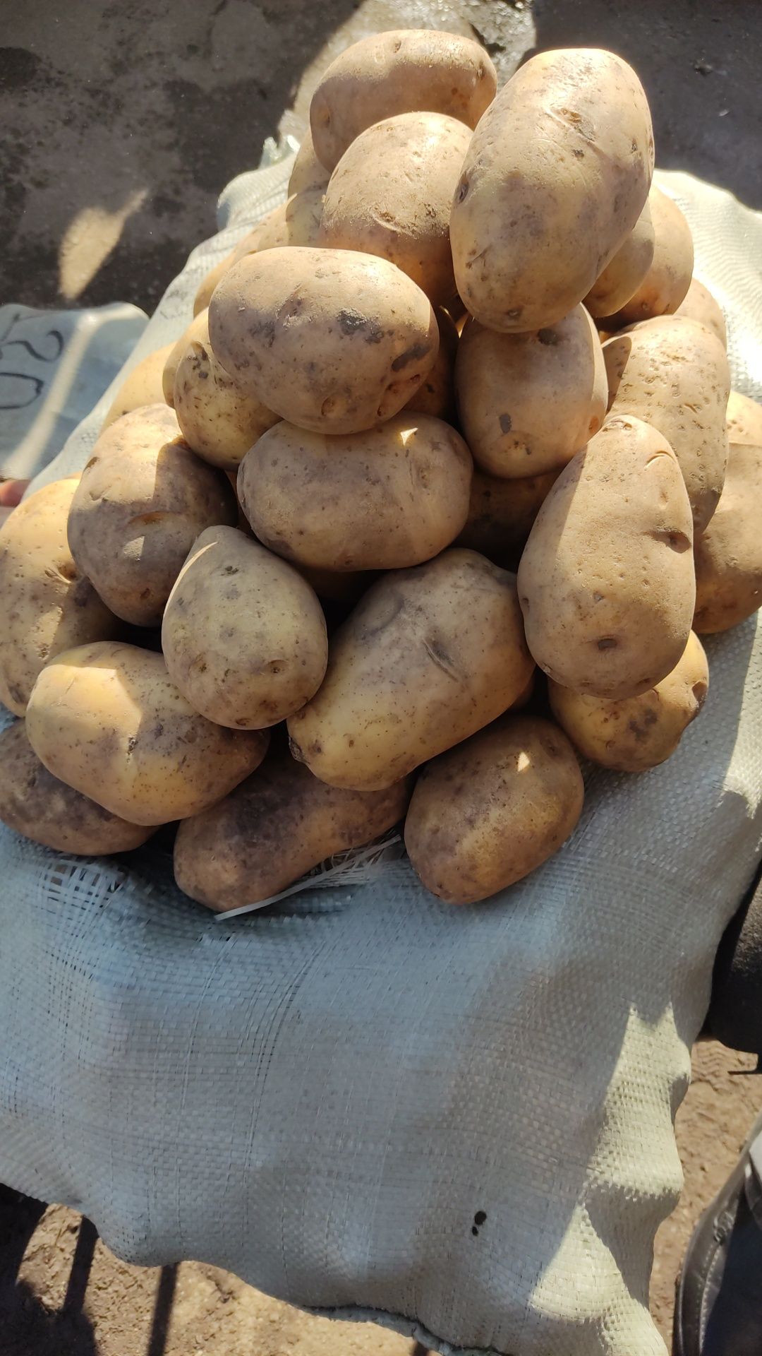Продам картошки Павлодарские