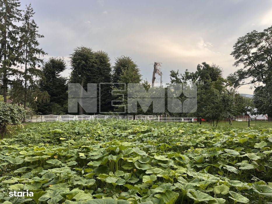 TEREN INTRAVILAN 10 ARI  I Rotopanesti/Suceava I 20.000Euro