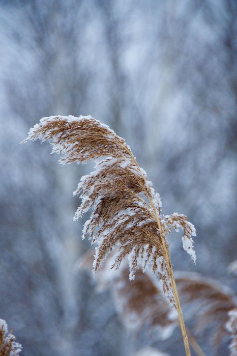 Nikon AF-S 18-200mm f/3.5-5.6G ED VR обектив Никон