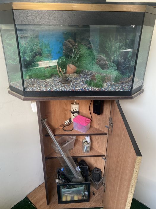 Acvariu de vanzare