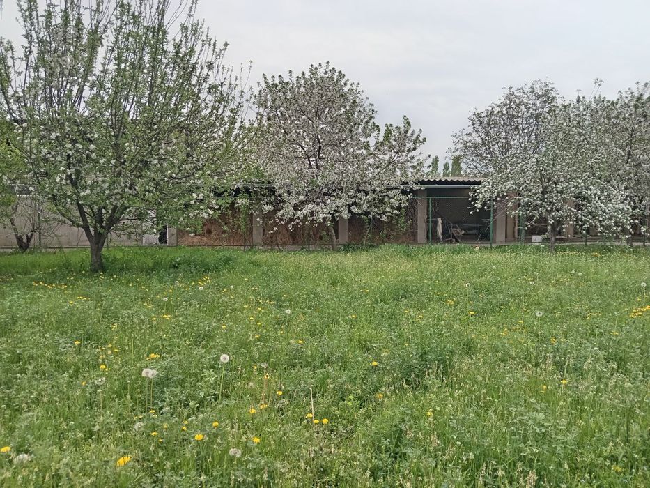 Uchastka sotiladi (srochno)