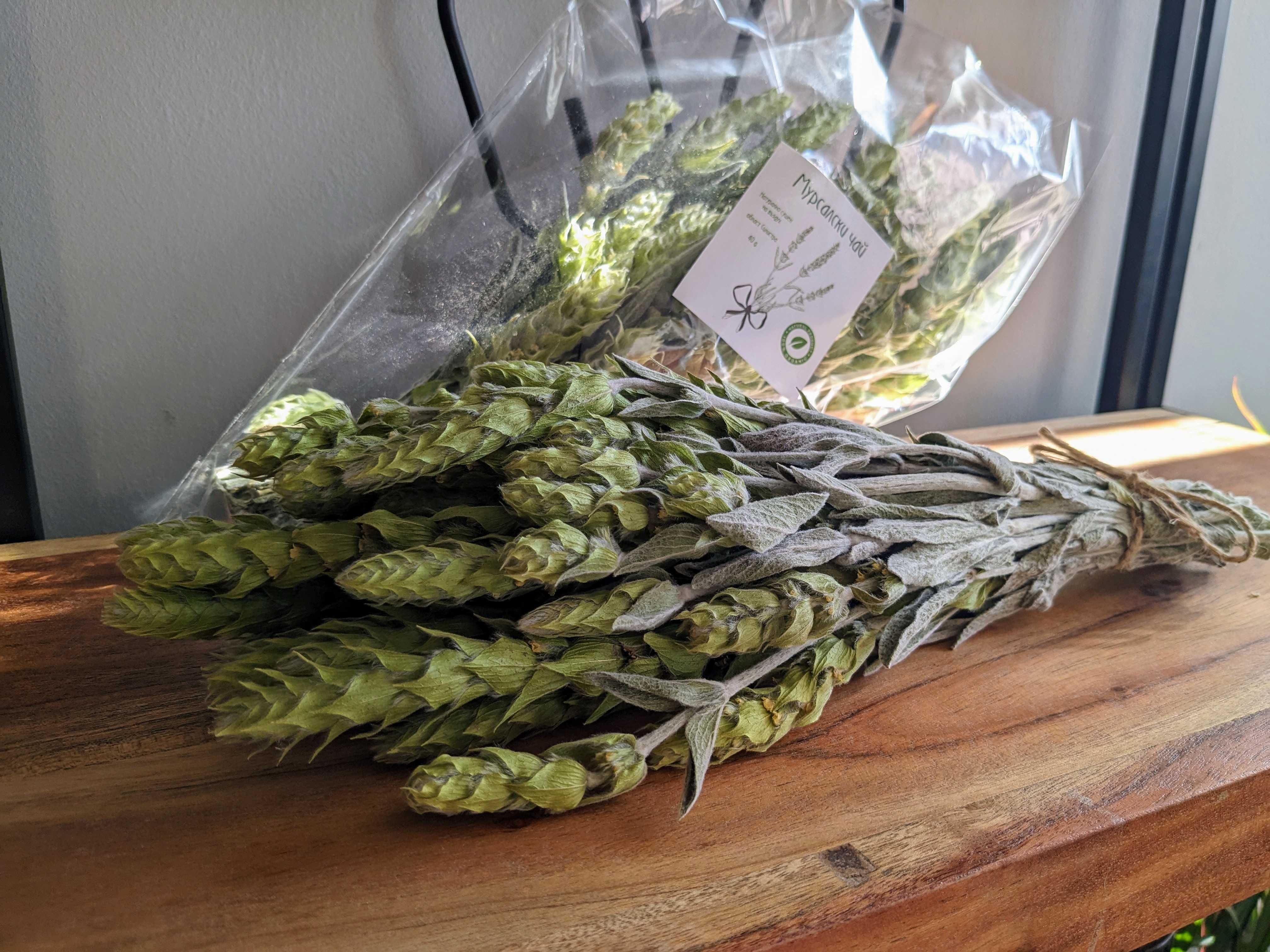 Мурсалски чай. Sideritis scardica