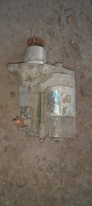 Отдам котят срочно8