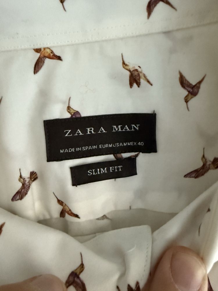 Camasa Zara cu imprimeu cu pasari, S, masculina