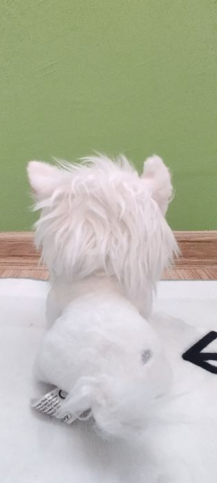 Ново плюшено котенце