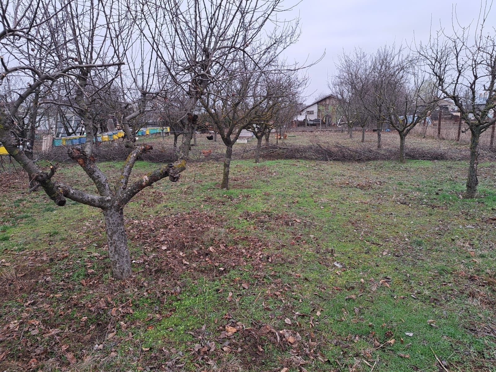 Teren intravilan 3000 mp/Pretabil locuinta/Depozit/