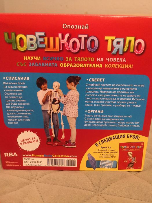 Скелетко - Човешкото тяло
