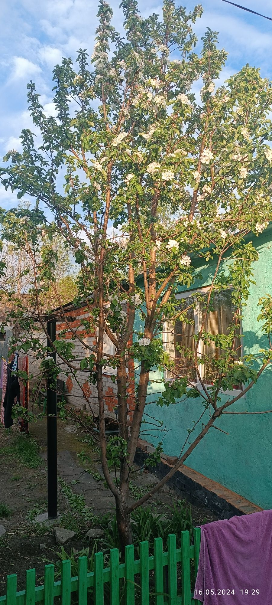 Продам дом  в Костанайская область , район Б. Майлина,селе Байшуак