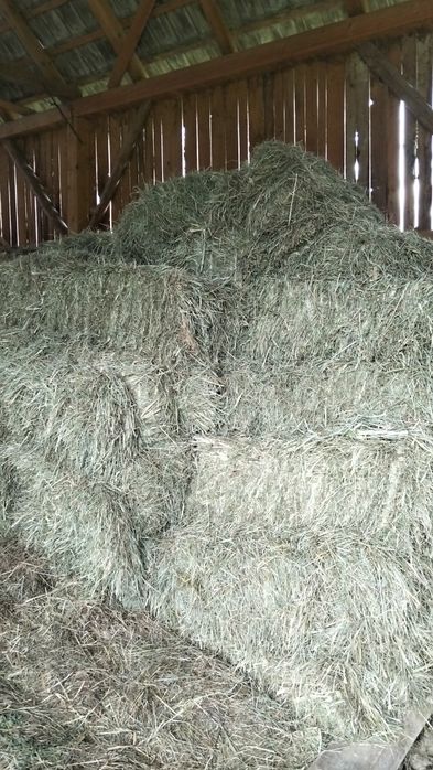 Baloți otavă grădină