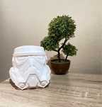 Star wars Stormtrooper pot