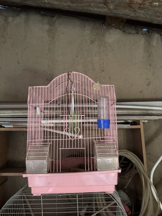 Продам клетку для попугаев