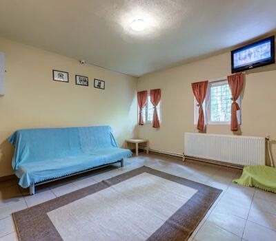 Cazare câini, pisici si alte animale de companie