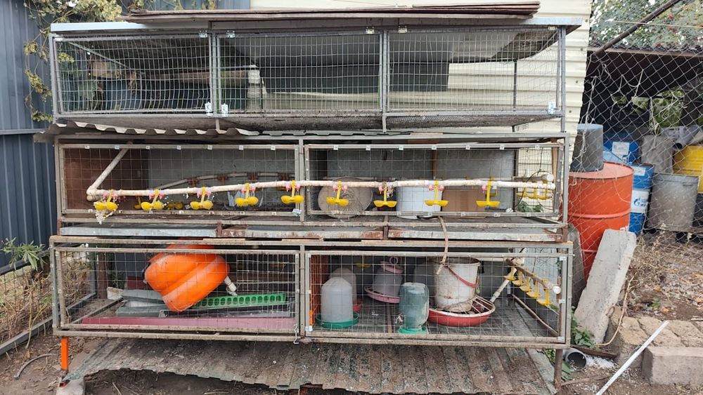 Клетки для курей