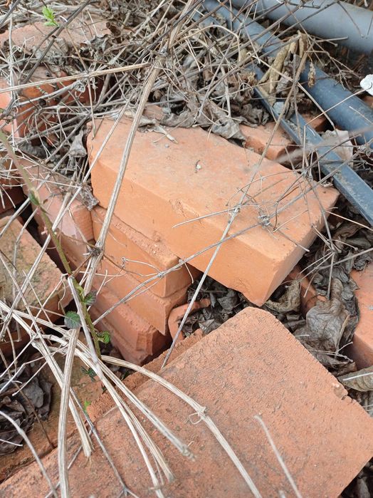 Огнеупорни топлоизолационни тухли + плътни тухли единички