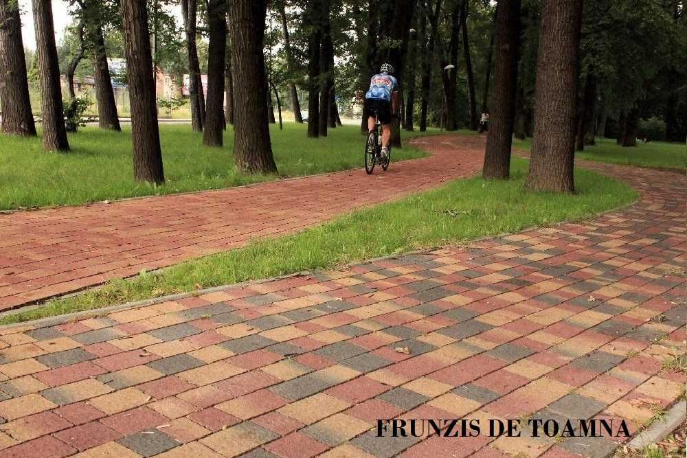 Pavaj/Pavele/Dale de Top/Elit Romb 3D,Rettango,Semmelrock,Petra