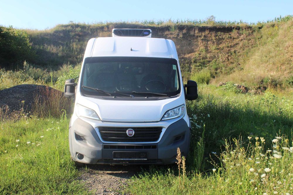 Fiat Ducato frigo
